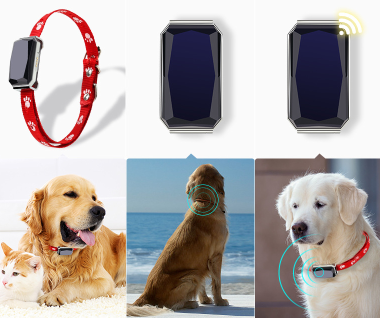 SafeReturn™ Real-Time GPS Pet Tracker – Peace of Mind for Escape Artists & Adventurers