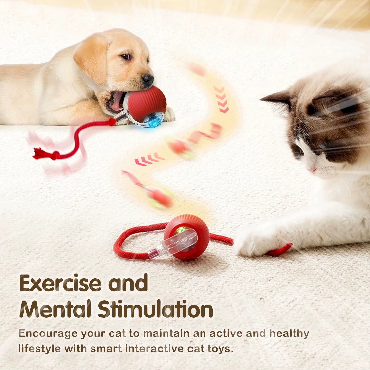 Bola Interactiva Inteligente Para Gatos Recargable