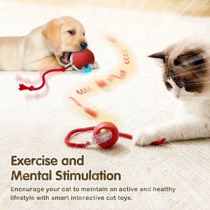 Bola Interactiva Inteligente Para Gatos Recargable