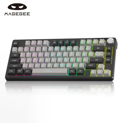 Magegee Mini 60% Gaming Keyboard, RGB Backlit 75 Key Ultra-Compact Keyboard, TS75 Ergonomic Waterproof Mechanical Feeling Office Computer Keyboards for PC, MAC, PS4, Xbox ONE Gamer Summerwins
