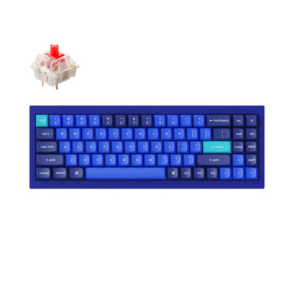 Keychron Q7 Wired Custom Mechanical Keyboard, 70% Layout QMK/VIA Programmable Macro with Hot-Swappable Gateron G Pro Brown Switch Double Gasket Compatible with Mac Windows Linux