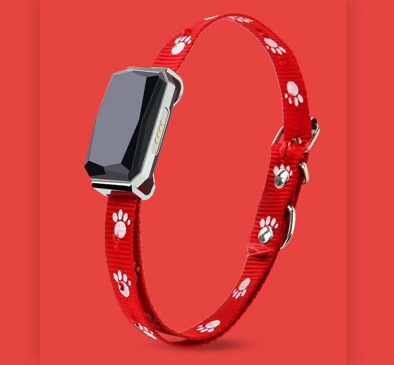 SafeReturn™ Real-Time GPS Pet Tracker – Peace of Mind for Escape Artists &amp; Adventurers