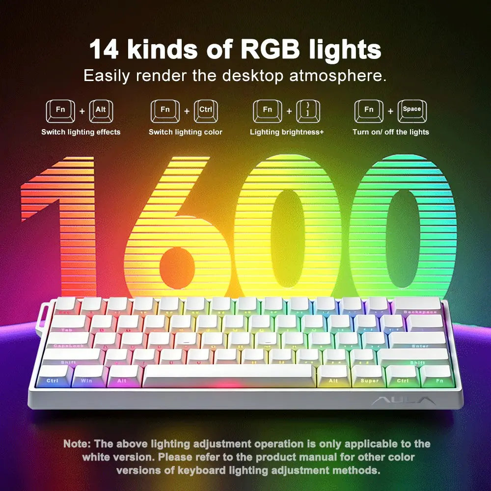AULA WIN60 HE Mini Keyboard, Gaming Keyboard, Pc Gaming Keyboard, 61-Key Wired Connection, Plug and Play, Cool RGB Lighting Effect, Magnetic Axis Hot Plug, for E-Sports Games, Quick Trigger Response, Suitable for Notebook/Computer Equipment Connection