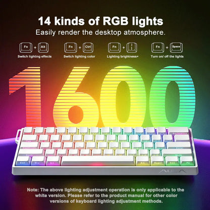 AULA WIN60 HE Mini Keyboard, Gaming Keyboard, Pc Gaming Keyboard, 61-Key Wired Connection, Plug and Play, Cool RGB Lighting Effect, Magnetic Axis Hot Plug, for E-Sports Games, Quick Trigger Response, Suitable for Notebook/Computer Equipment Connection