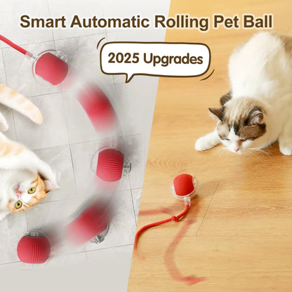 Bola Interactiva Inteligente Para Gatos Recargable